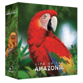 Life of the Amazonia társasjáték, angol nyelvű