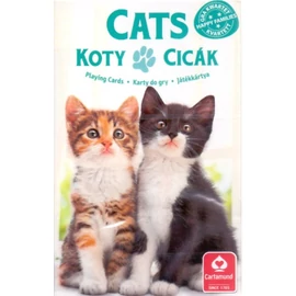 Kedvenceink a cicák 4 az 1-ben kártya (Cartaco) Kedvenceink a cicák 4 az 1-ben kártya (Cartaco)