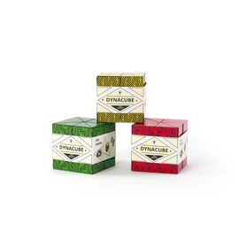 Recent Toys Dynacube logikai játék