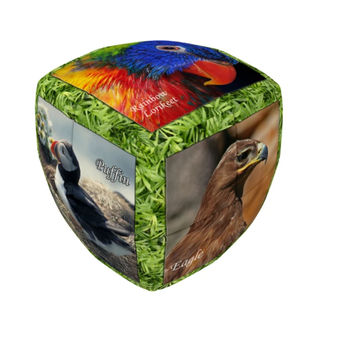 V-Cube 2x2 versenykocka, lekerekített, Madarak
